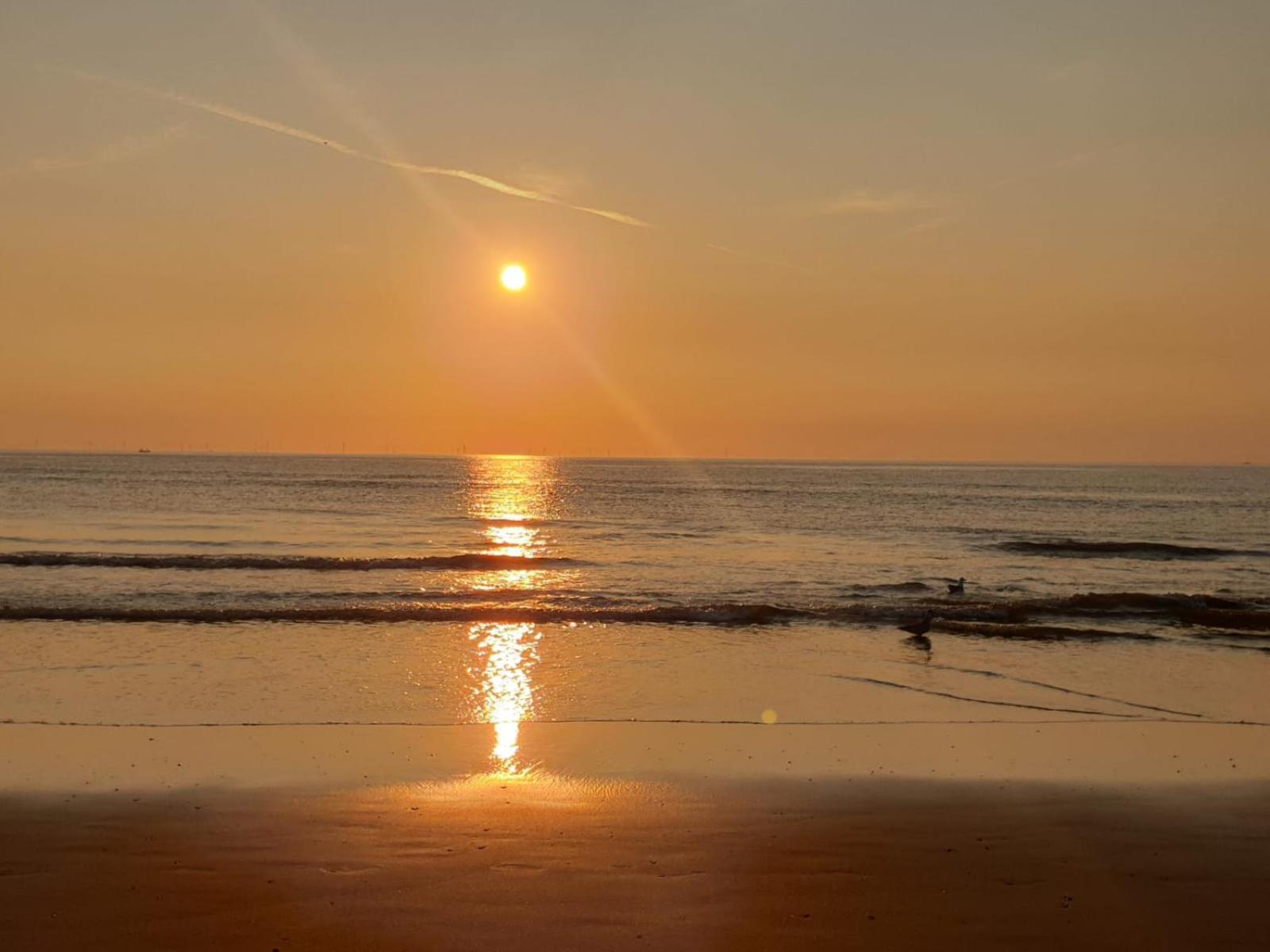 Beach-House27 Egmond aan Zee Ngoại thất bức ảnh